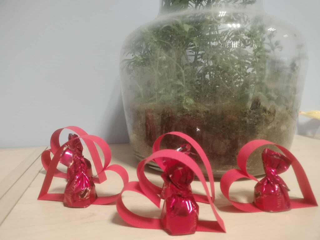 629880570_2953529494840451_6638799508512214144_n