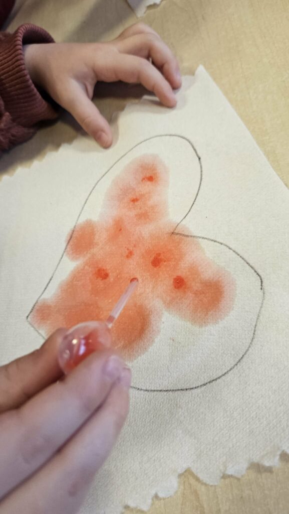 630338958_848530544813043_4740212536119090392_n