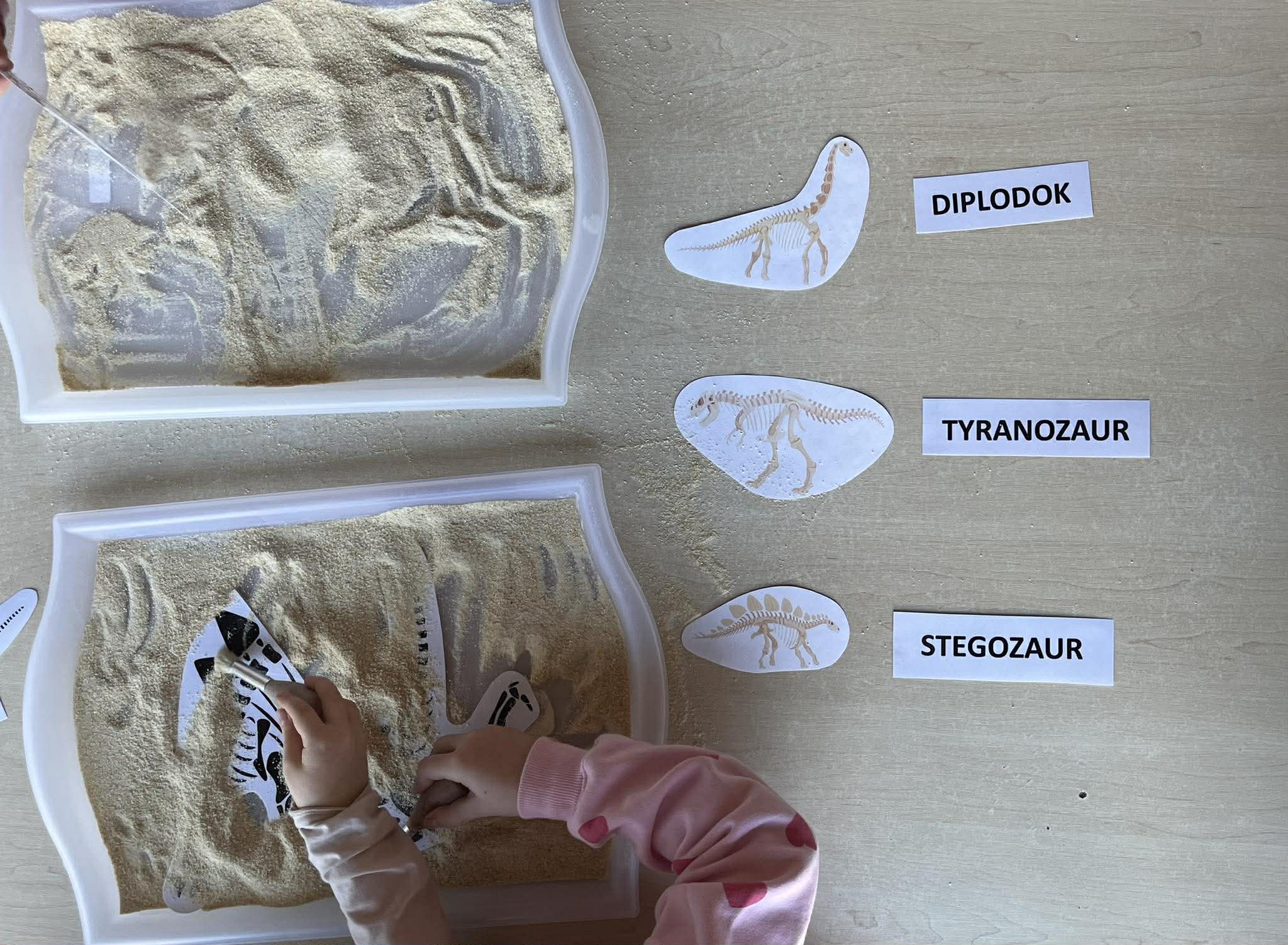 639150984_4467531246808362_8925407673022701399_n