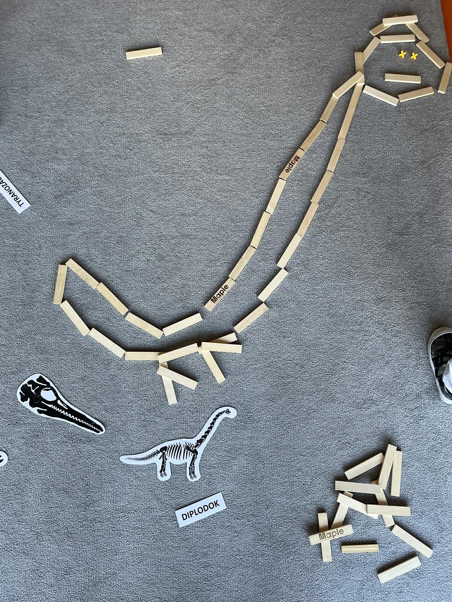 641264527_917994067262919_3403388344177833011_n