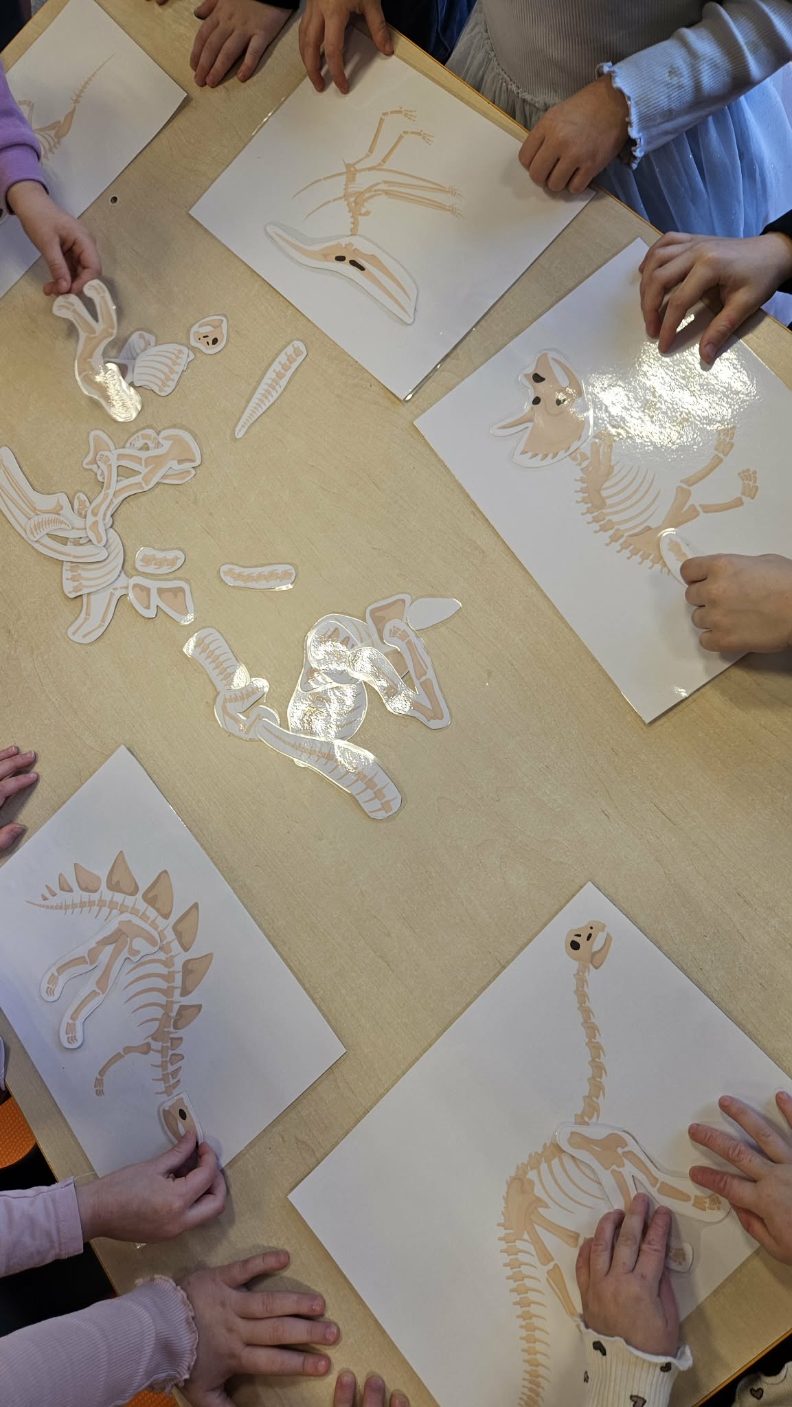 641423644_2344783479318216_361121051292658017_n