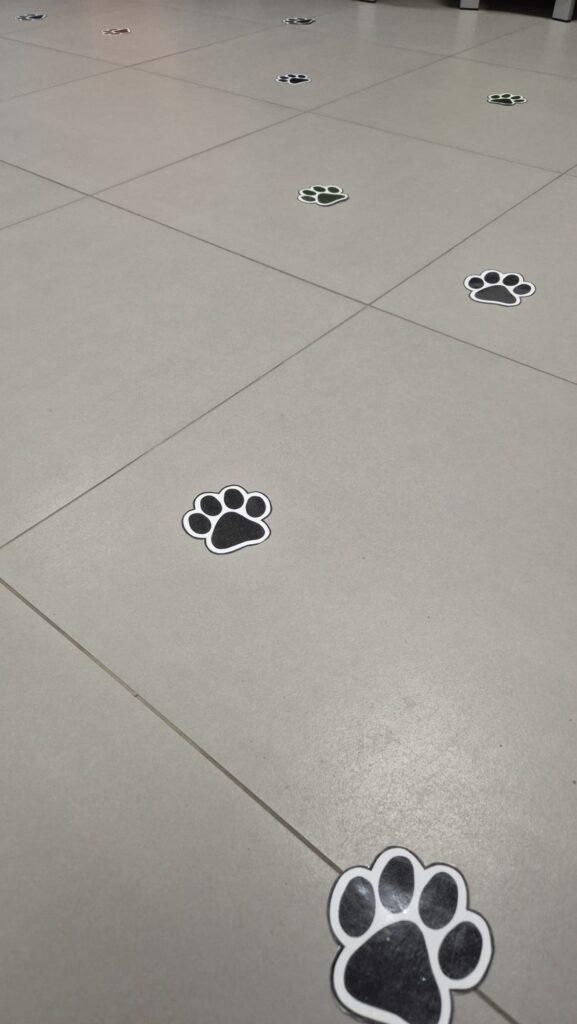 WhatsApp Image 2026-02-24 at 18.48.19 (1)