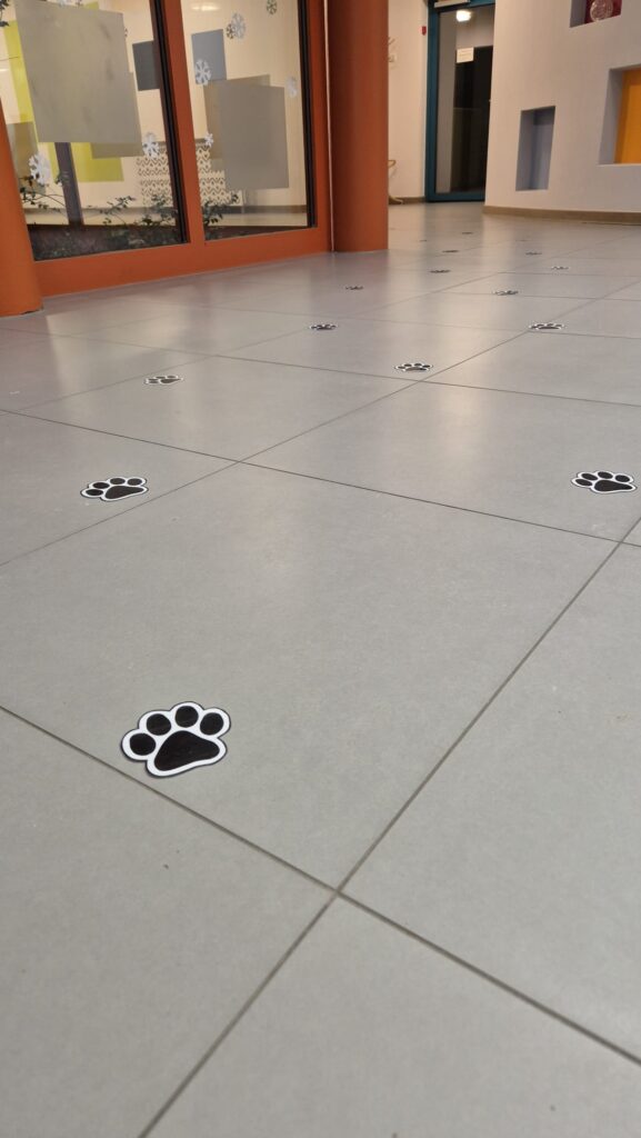 WhatsApp Image 2026-02-24 at 18.48.19 (2)