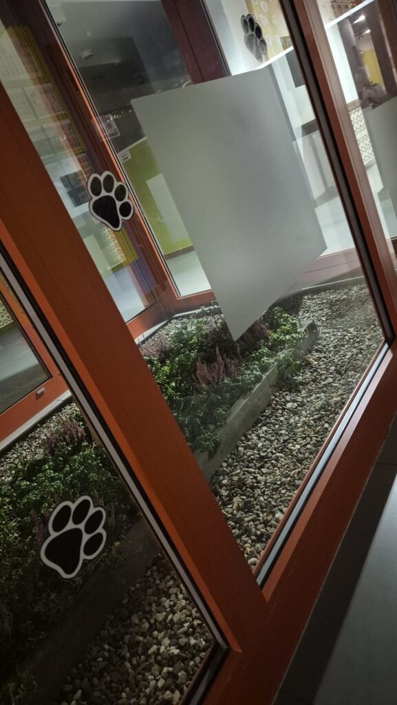 WhatsApp Image 2026-02-24 at 18.48.19 (3)