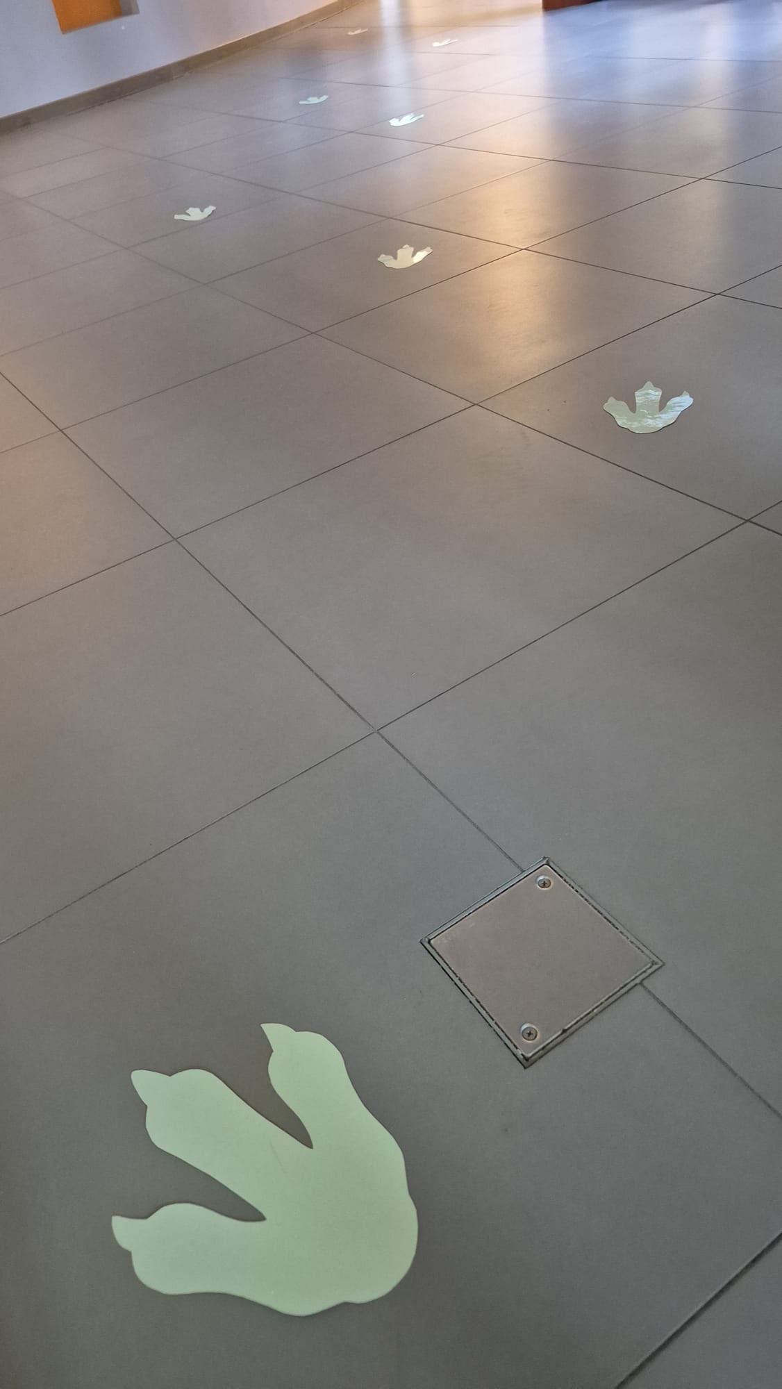 WhatsApp Image 2026-02-26 at 19.56.59 (3)