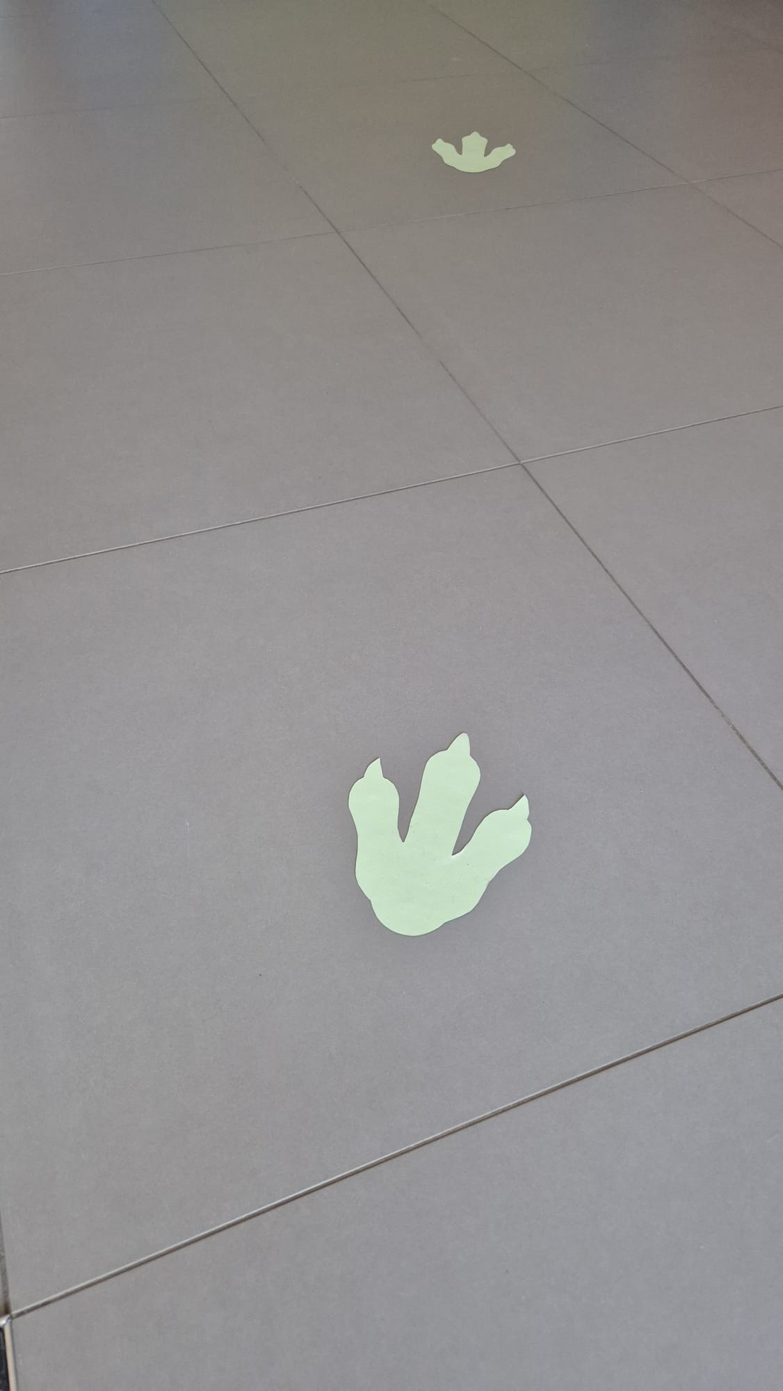 WhatsApp Image 2026-02-26 at 19.56.59 (6)