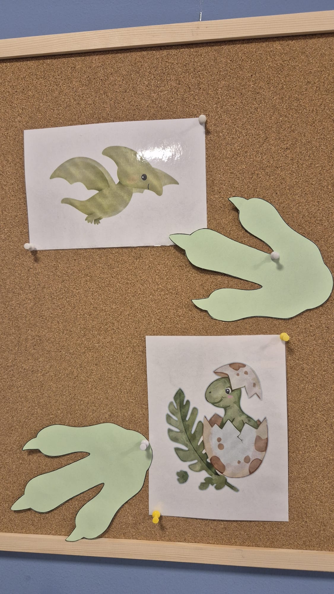 WhatsApp Image 2026-02-26 at 19.56.59