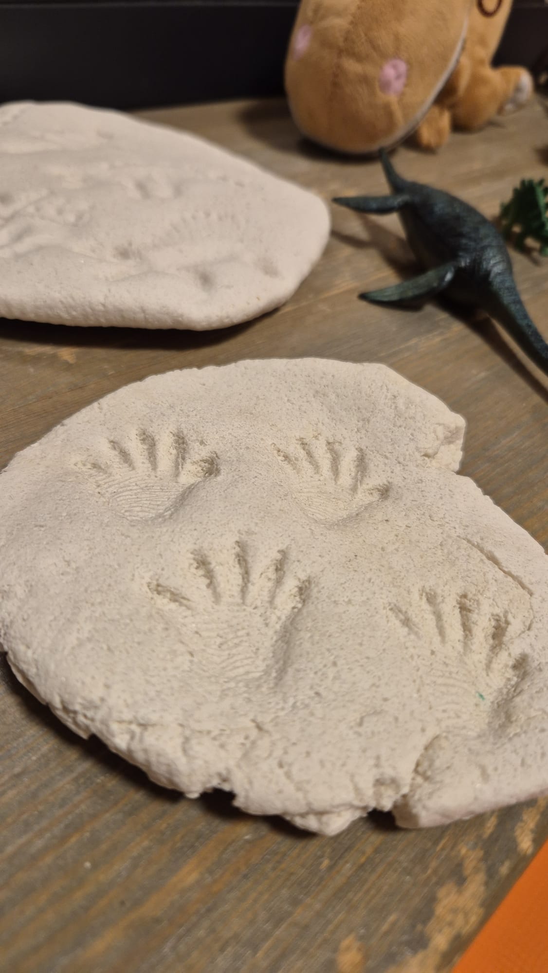 WhatsApp Image 2026-02-26 at 19.59.56 (2)