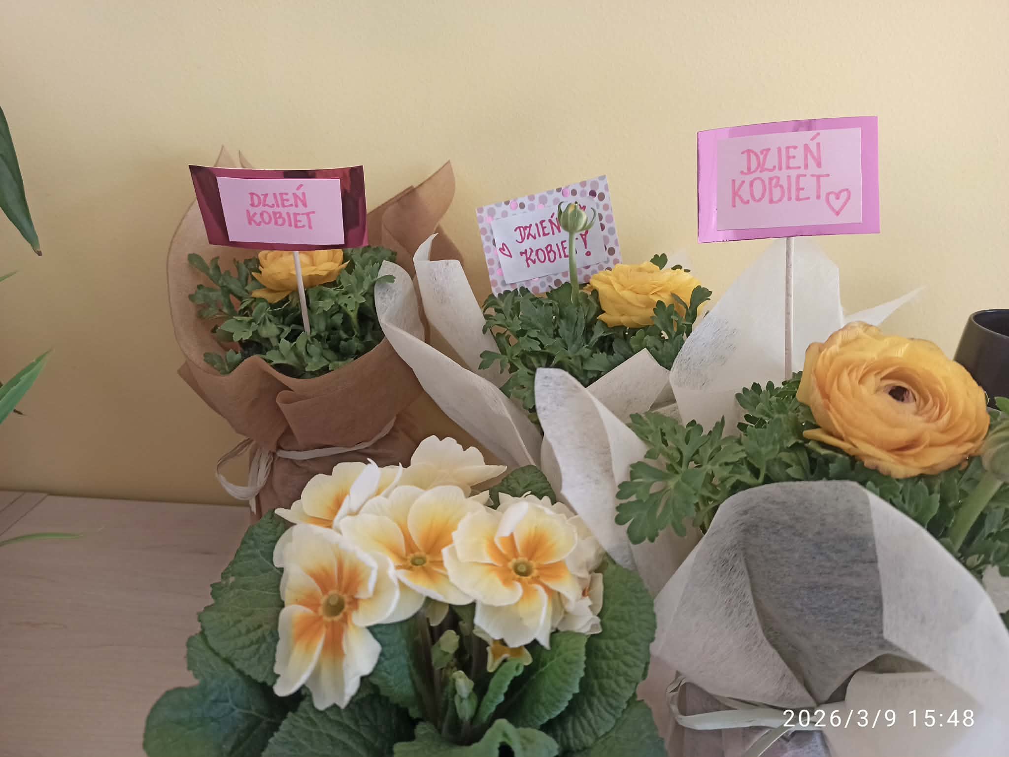 3d82f847-d15c-4826-946f-e751f677d2b0