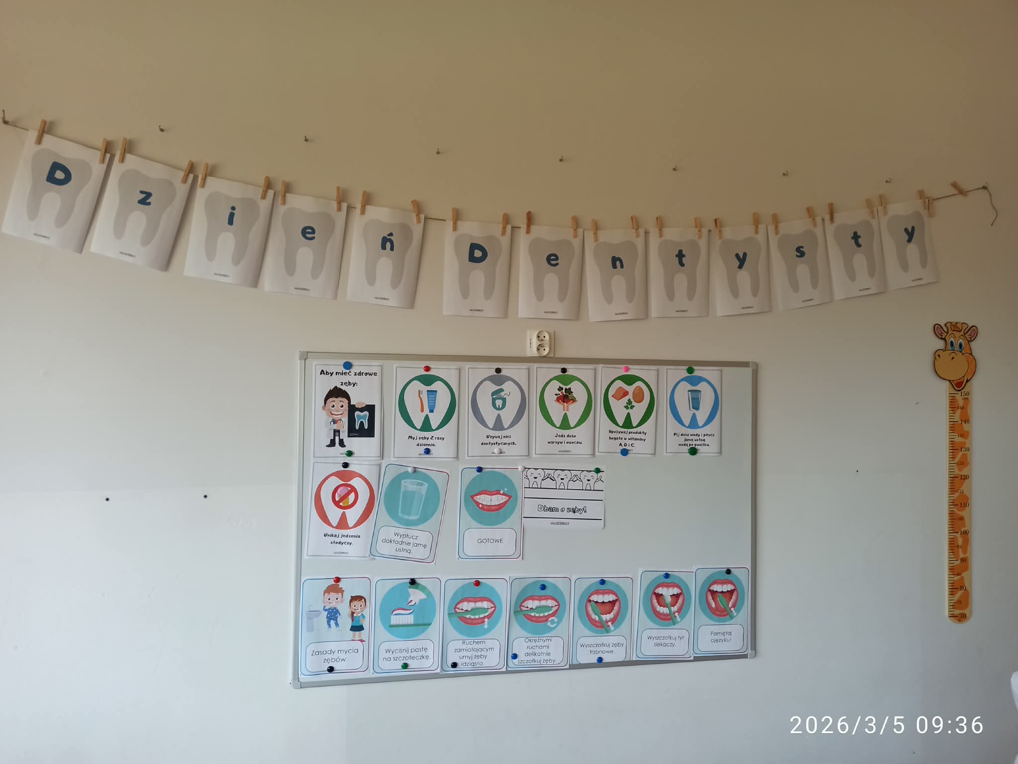 5b4f287b-6716-434f-896b-5f94e0f1beeb