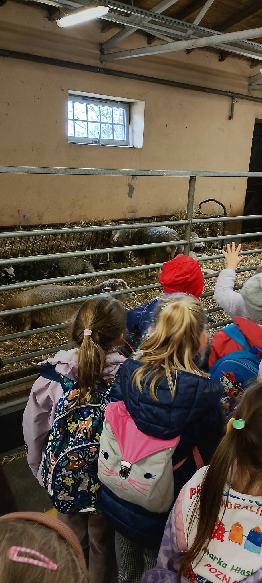 received_1141781457987285