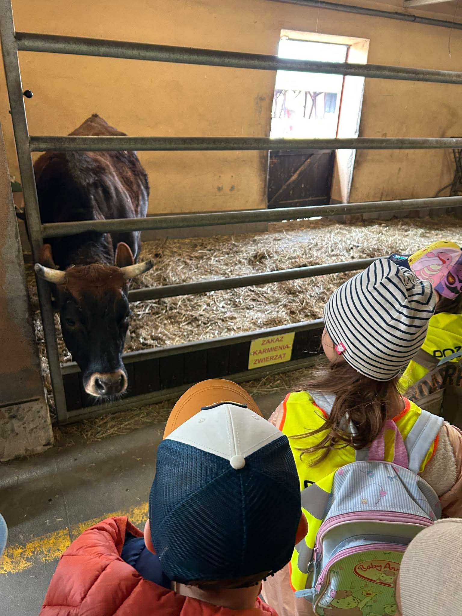 received_1562069161757838