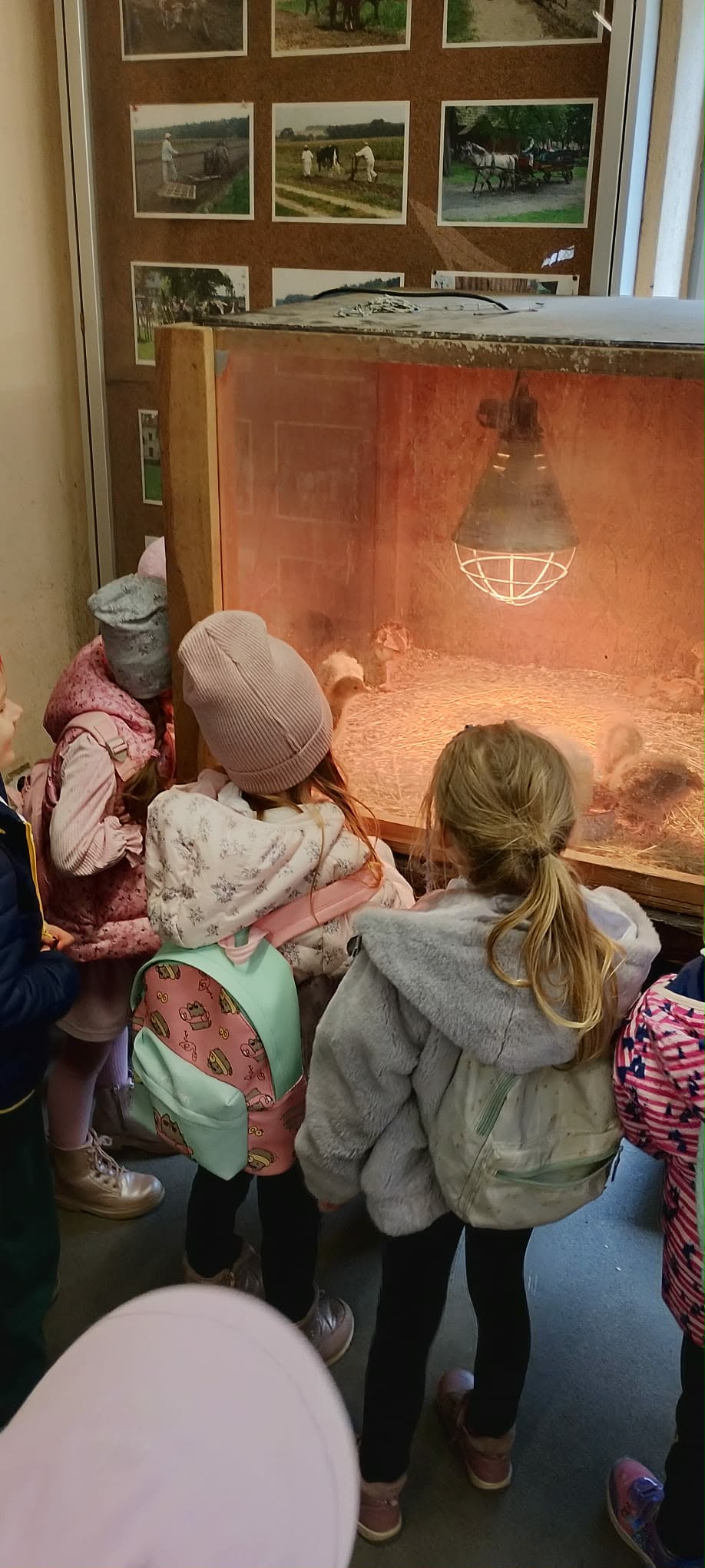 received_1647255696415127