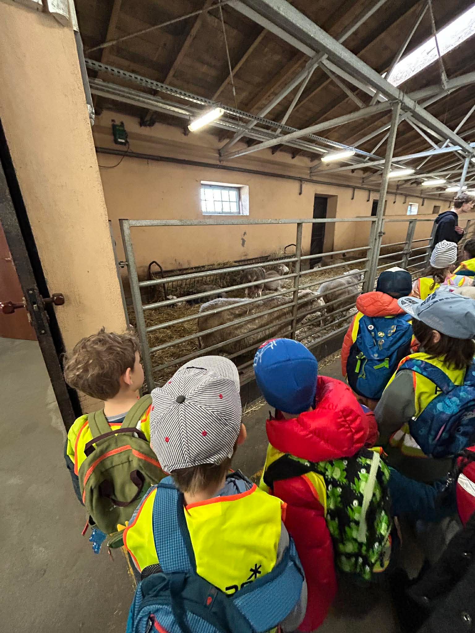 received_1671446980879989