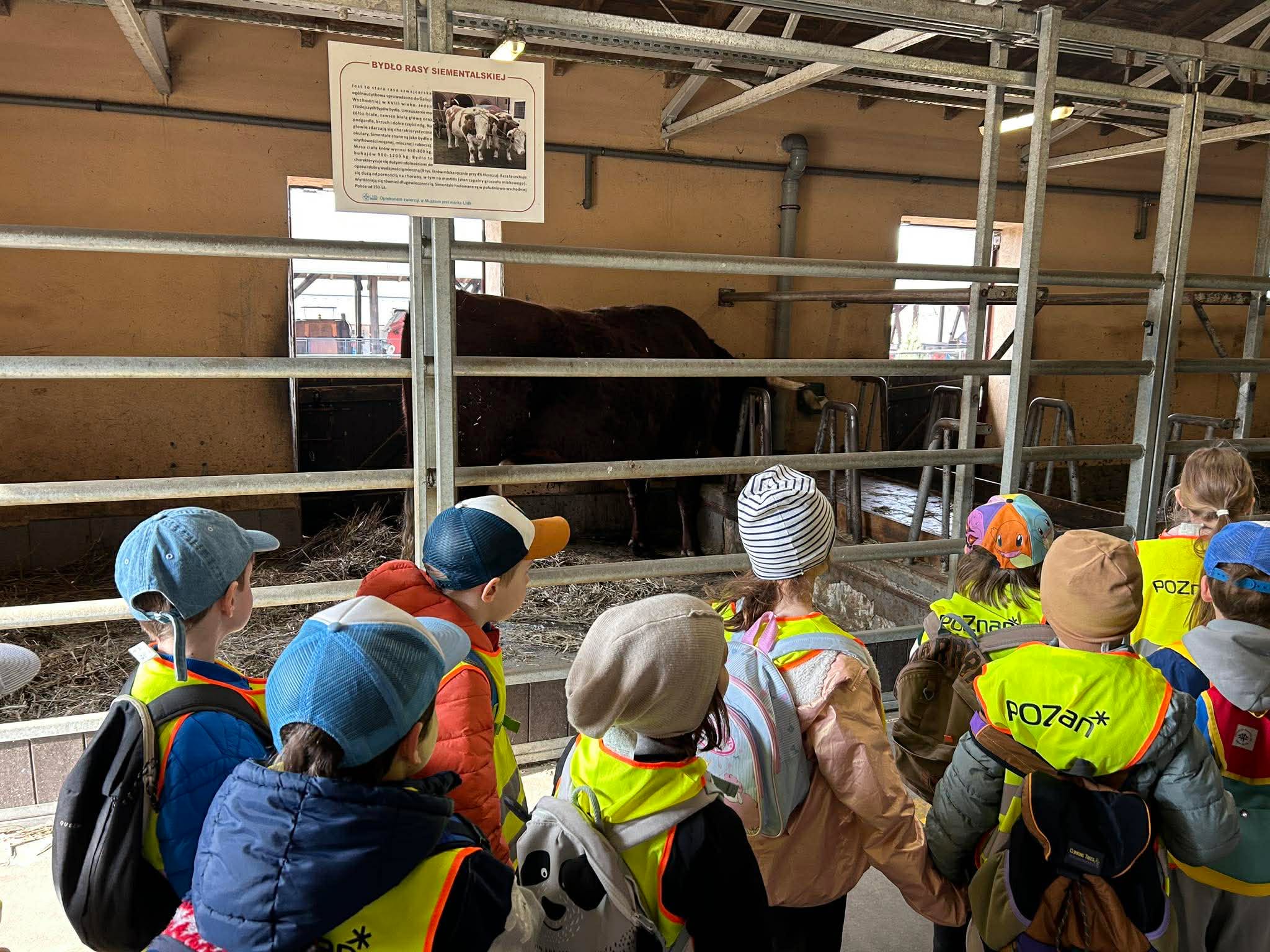 received_1808750589803112