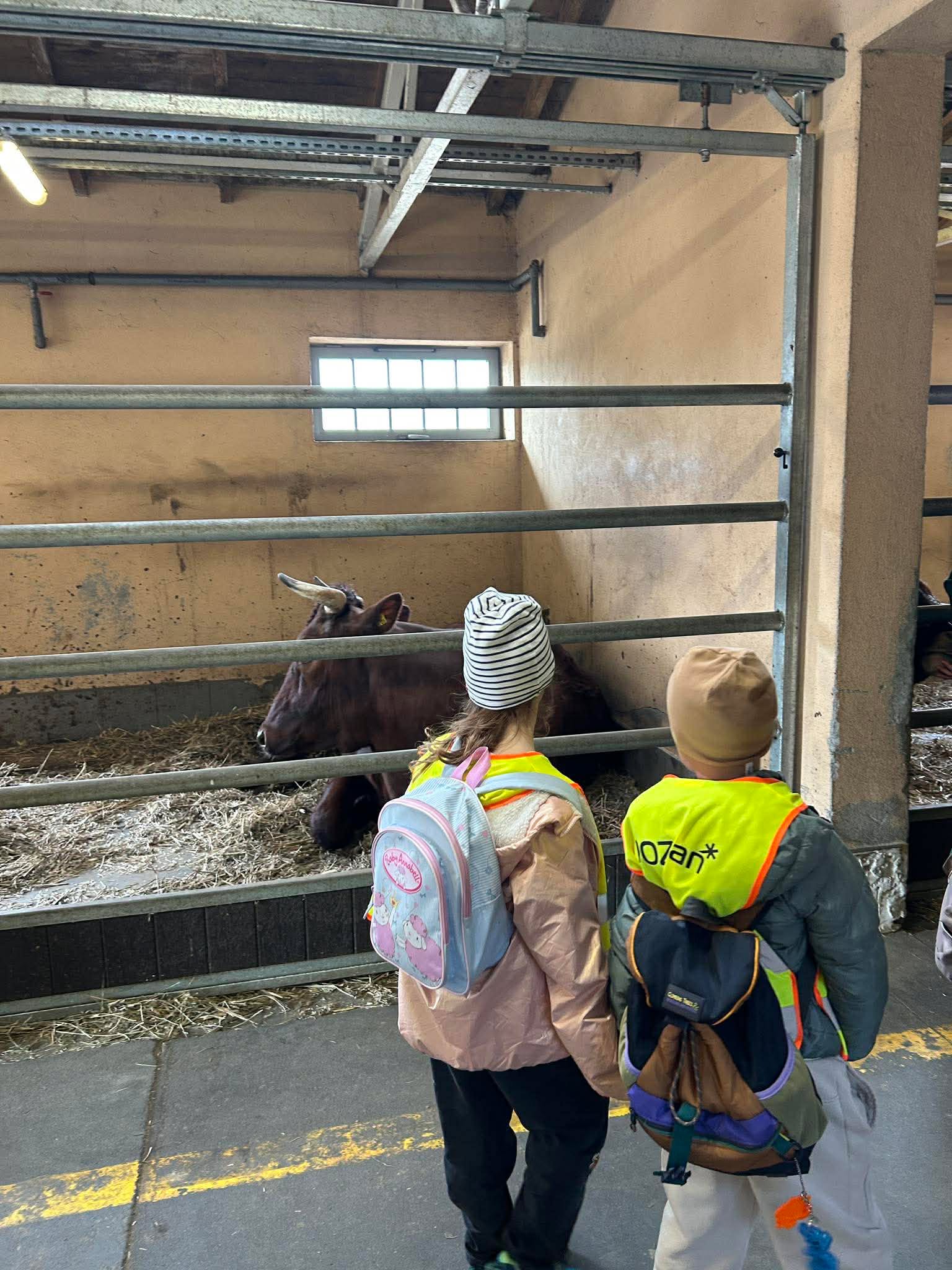 received_2704194929963302