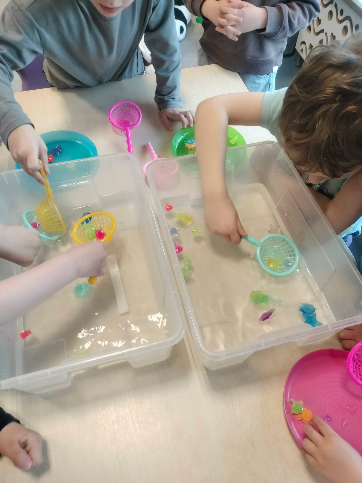 received_3539099946254119