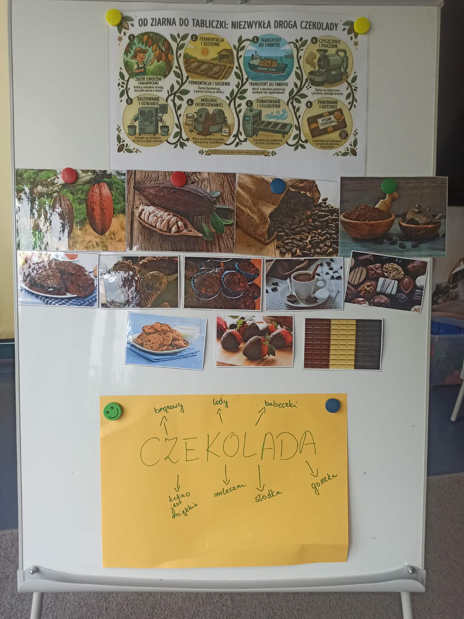 665077950_973543318526198_2542021082836479736_n