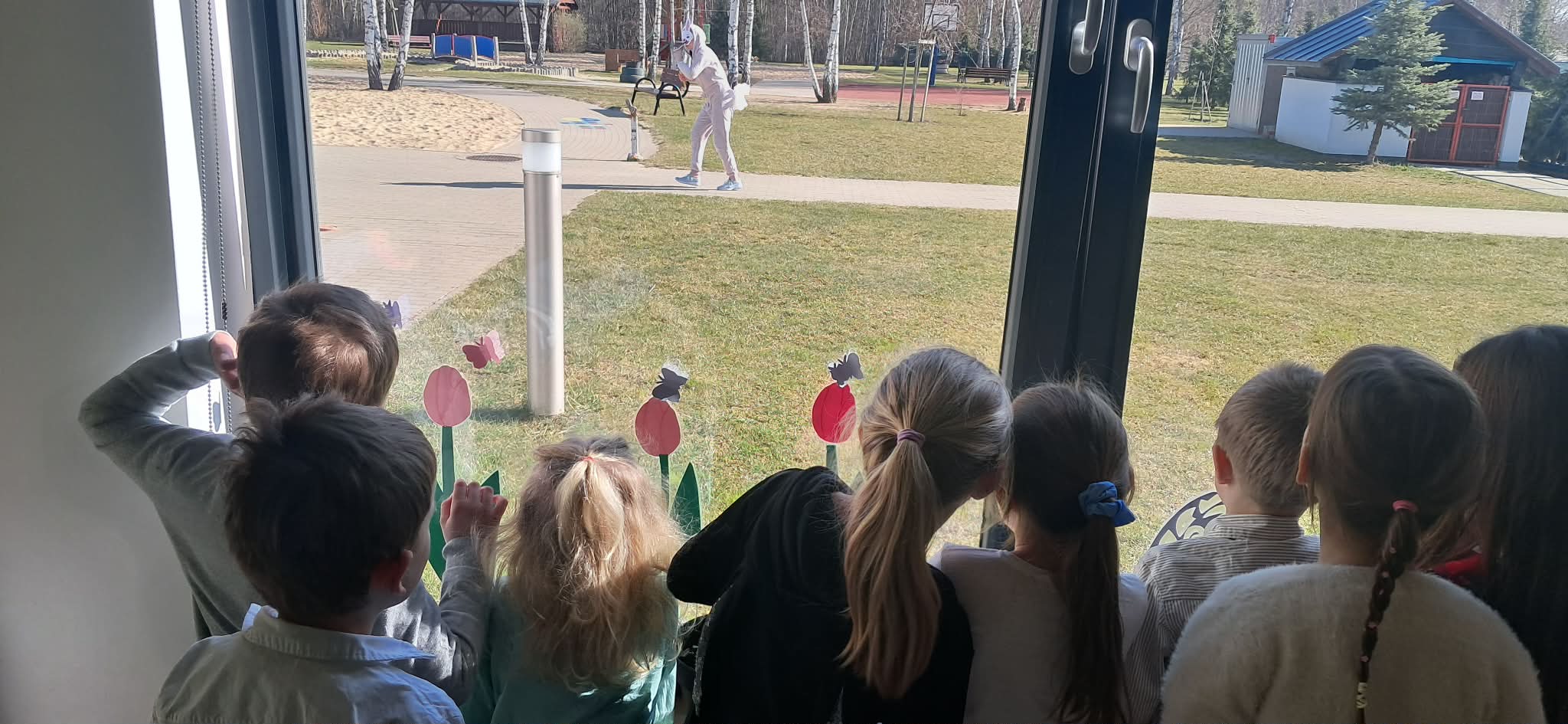 received_1549404240520959