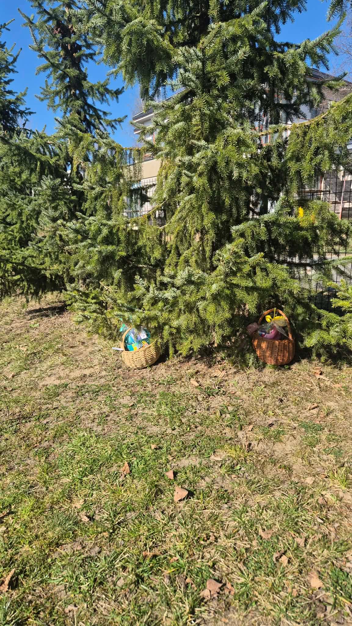 received_1906823989949341