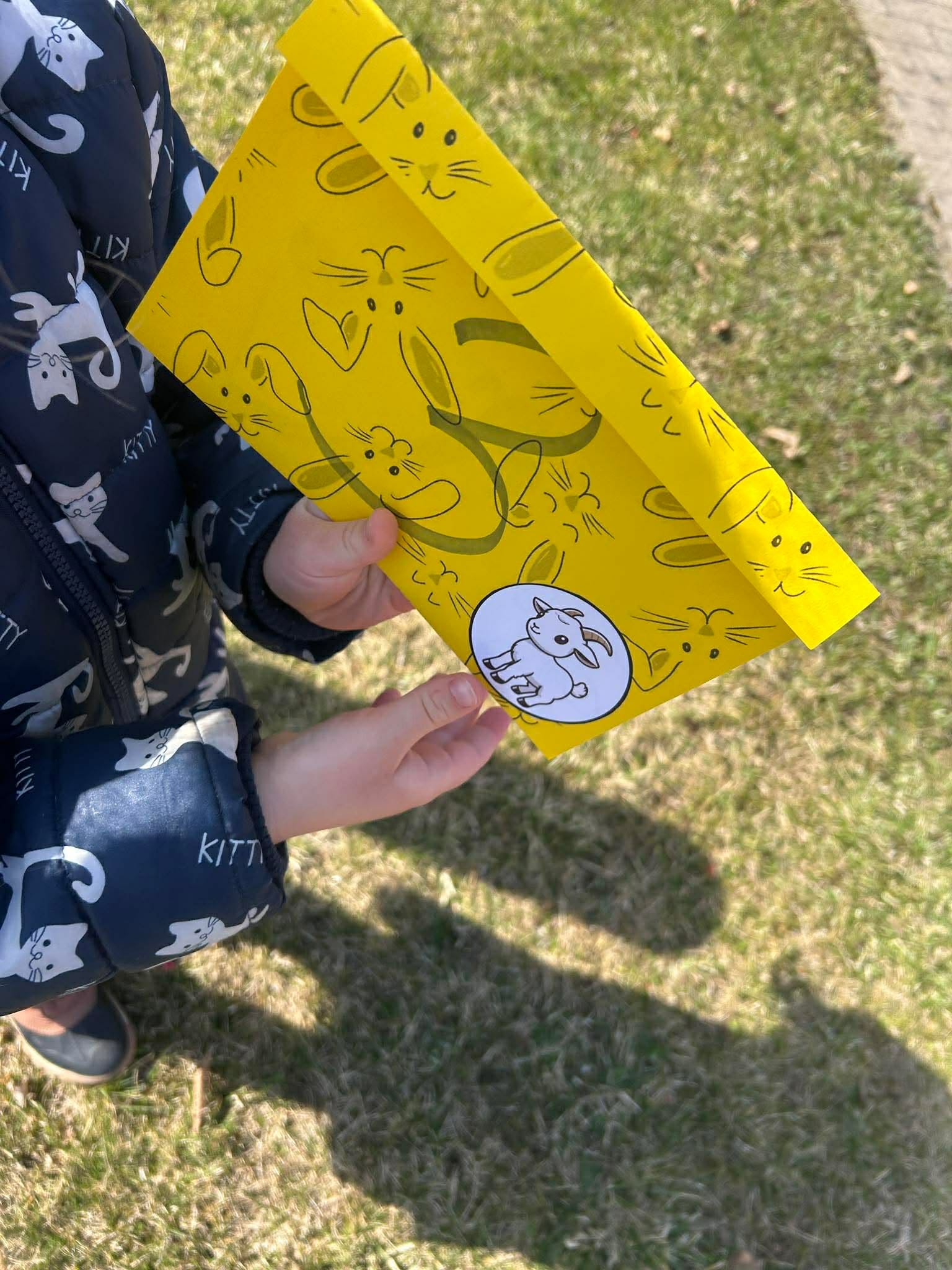 received_4229859150611114