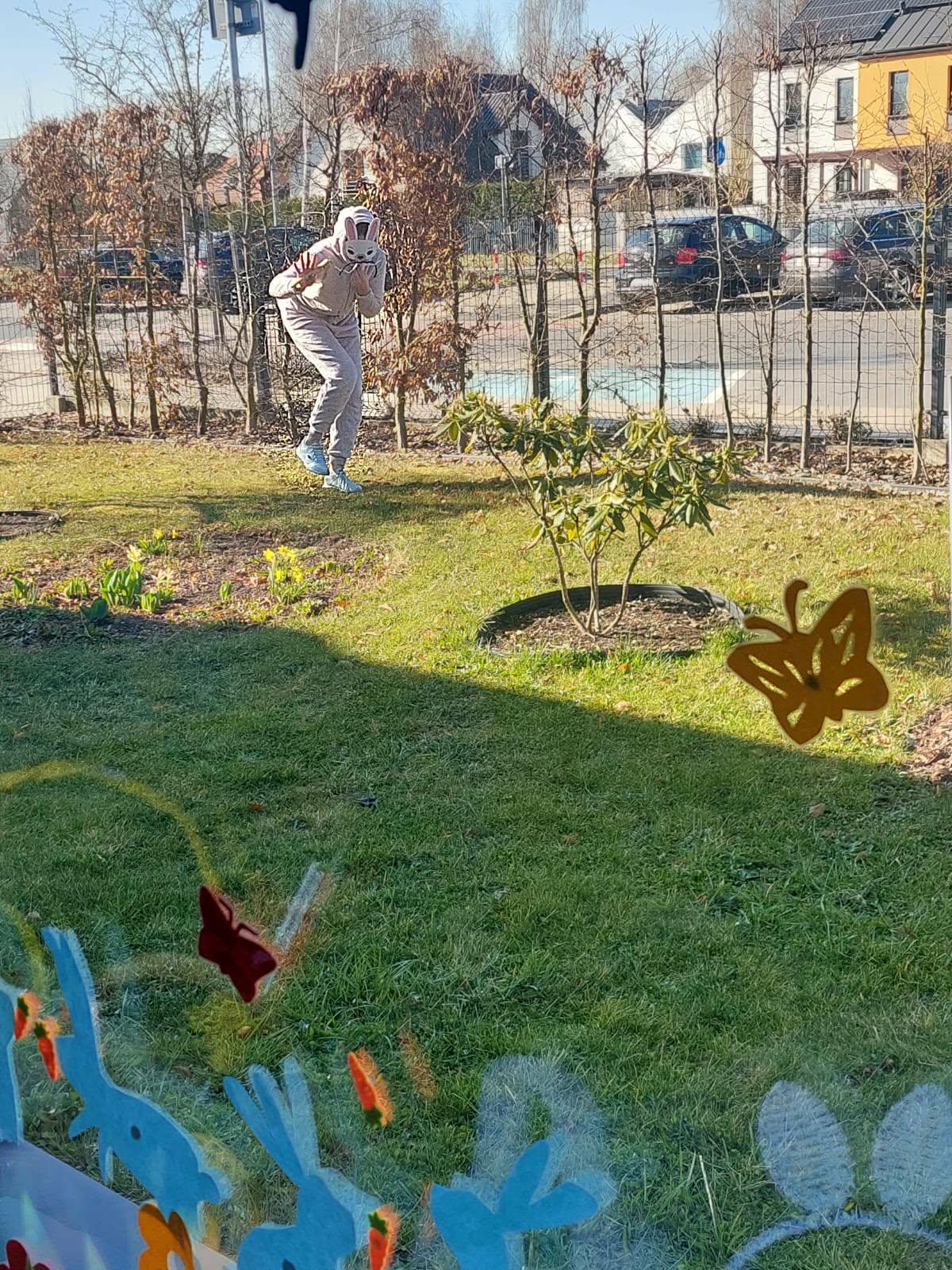 received_4311160149138001