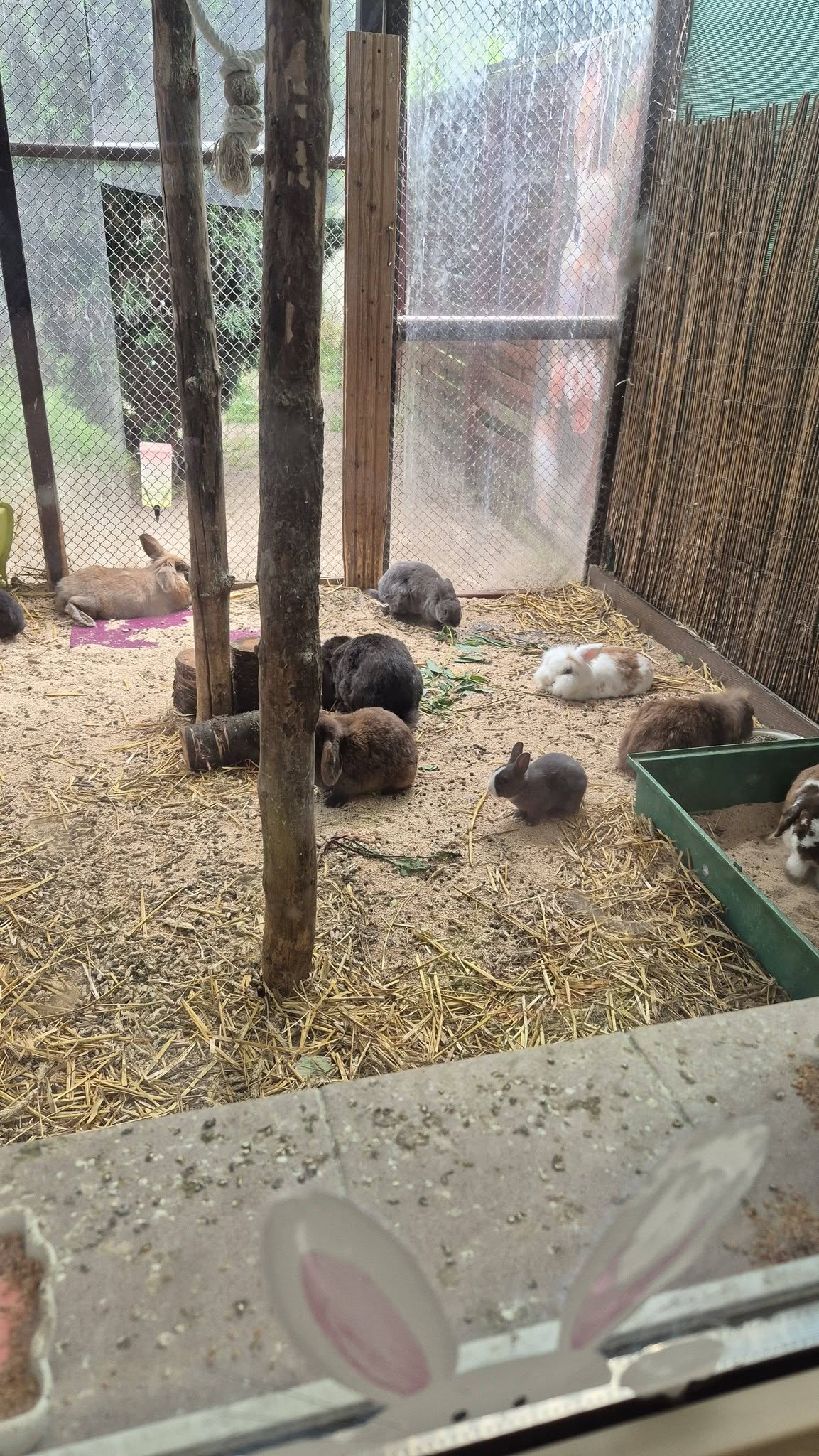 719993178_122128107063221898_7774033785632959909_n